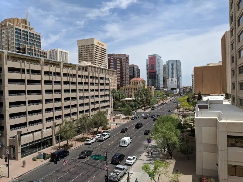 Workers planting shade trees beside a light-colored cool pavement street in a residential Phoenix neighborhood