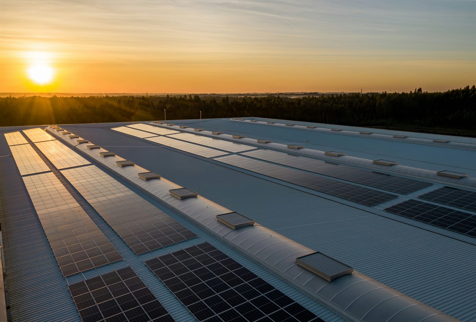 Vast solar farm stretching to the horizon at midday with battery storage containers in the foreground