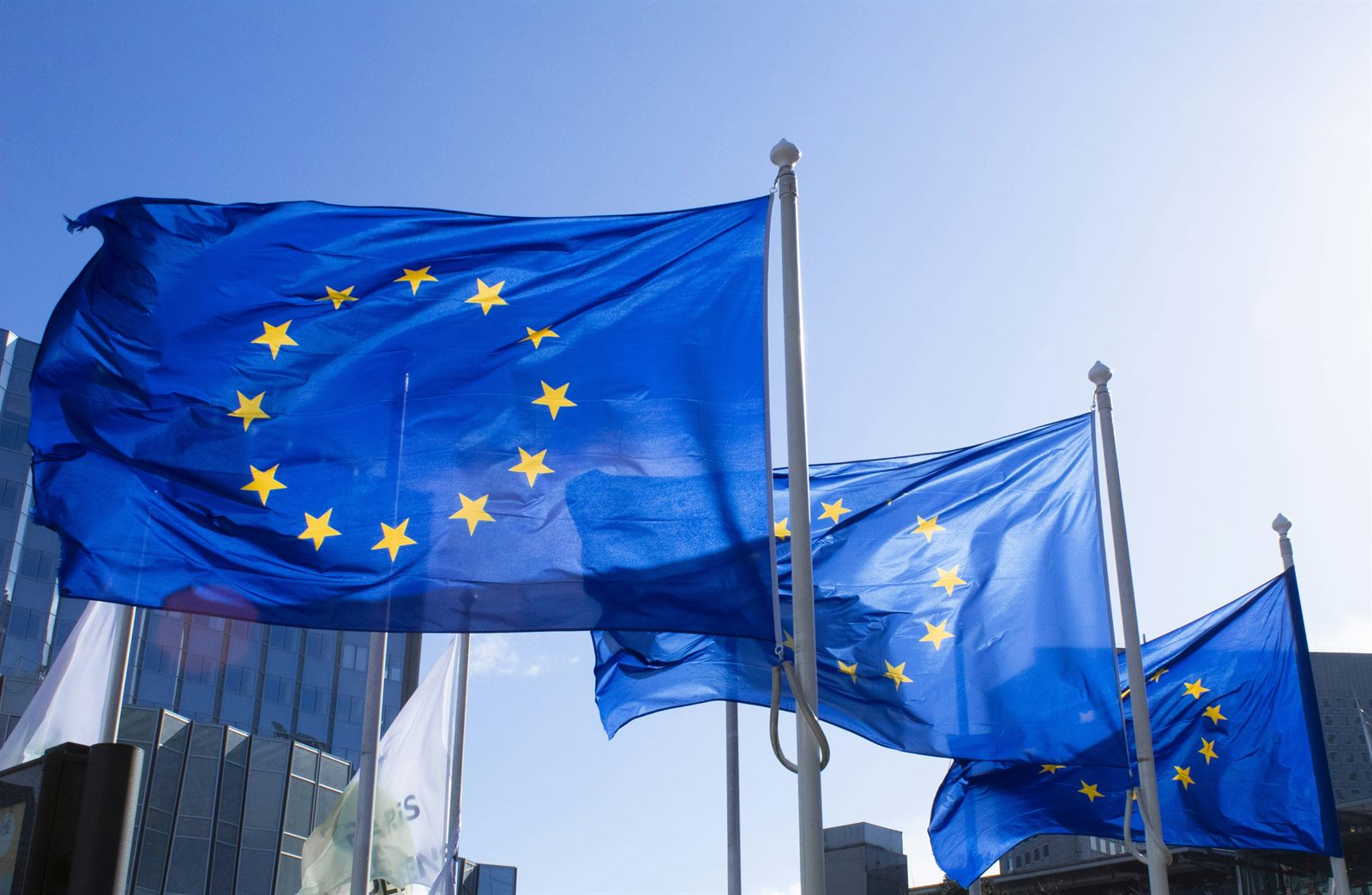 Soldiers from several European nations standing together beneath a ring of EU and national flags