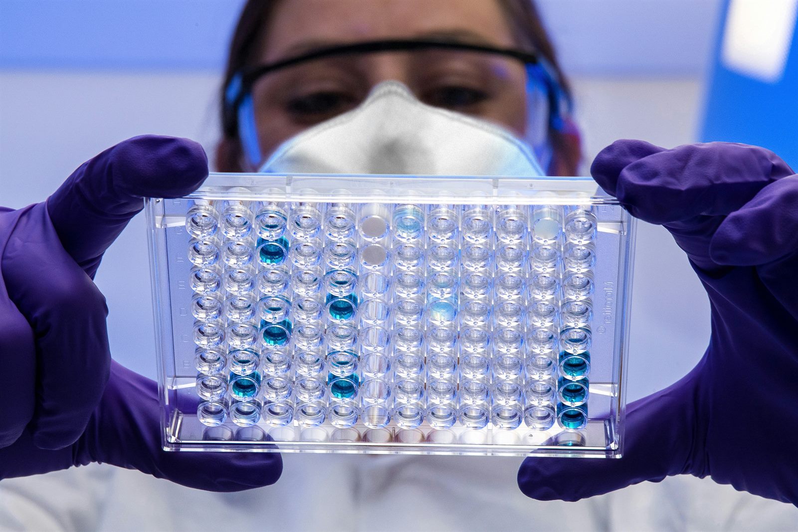 Laboratory embryo selection under microscope during IVF procedure