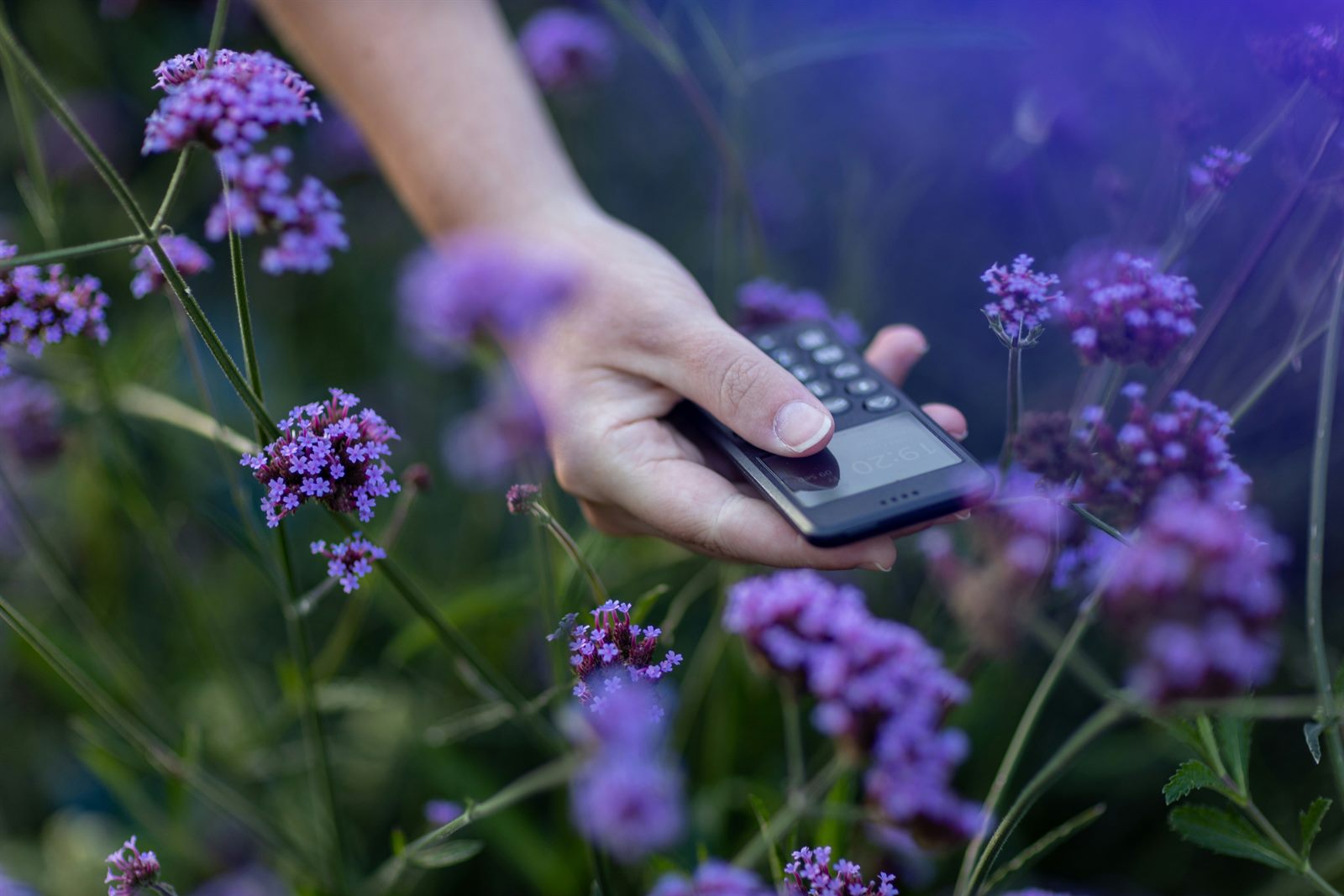 A researcher in a laboratory testing a digital scent device that analyzes and reproduces odor molecules