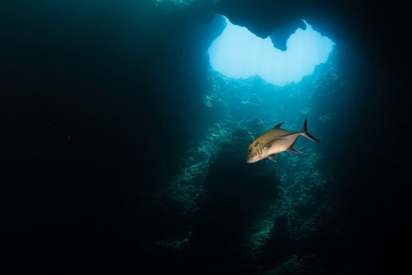 A titanium deep-sea submersible descending through dark ocean water with its lights illuminating particles