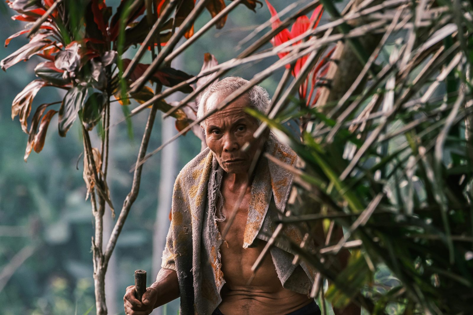 A researcher recording an elderly speaker with audio equipment to document an endangered language